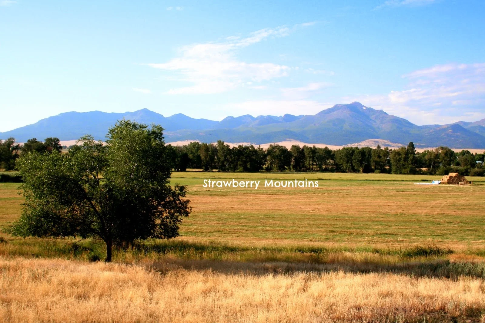 Strawberry Mountains Prairie City Dreamers Lodge