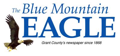 Blue Mountain Eagle Logo
